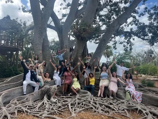 tree.jpg