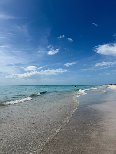 beach.png