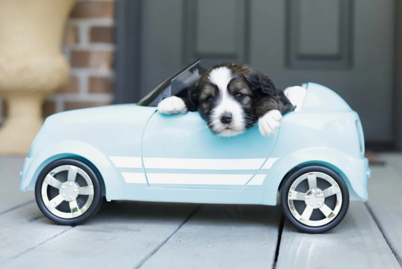 Cobblestone Special SOLD!  To Annette in Boston!