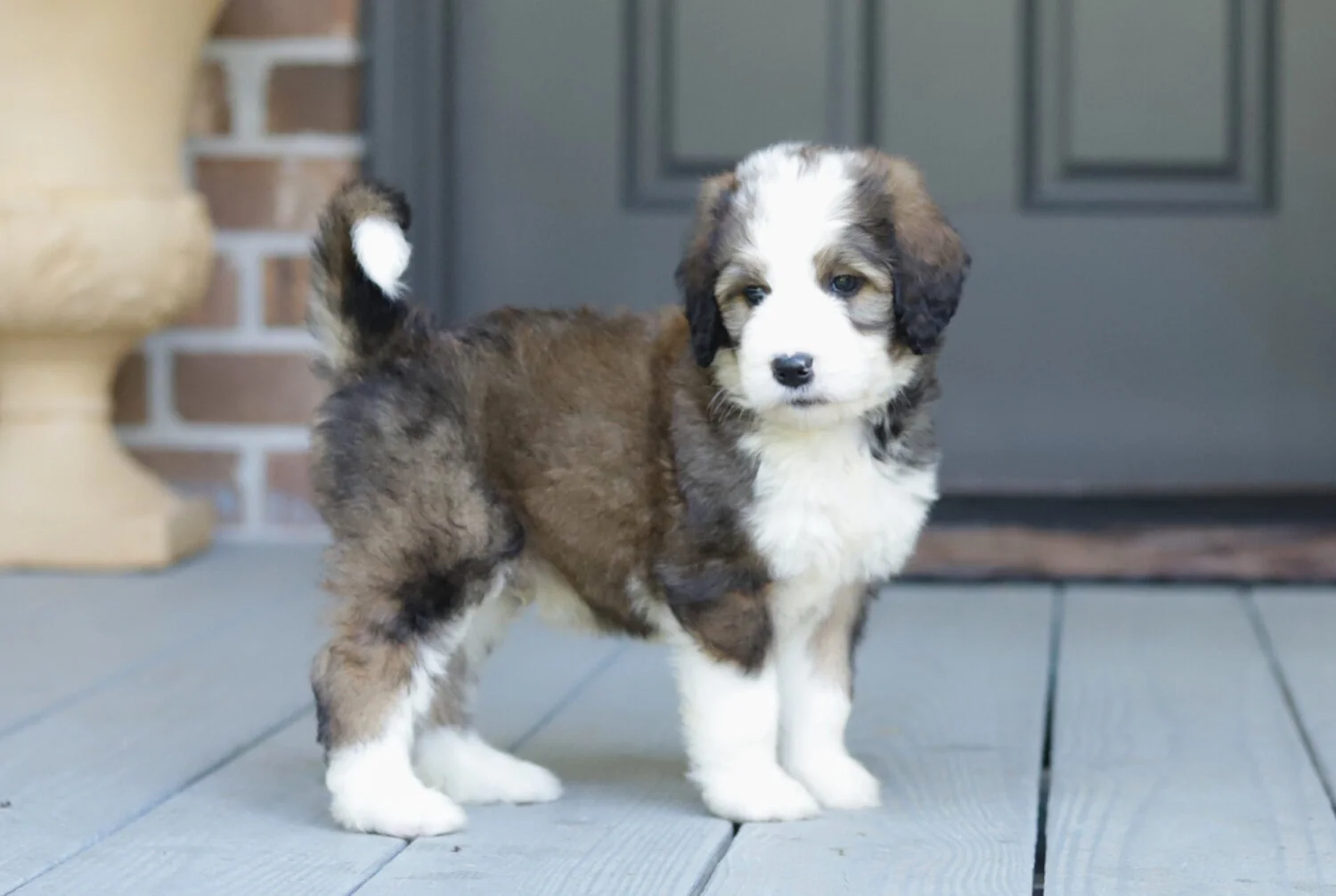 Cobblestone  Commander - Sold to Bob and Susan