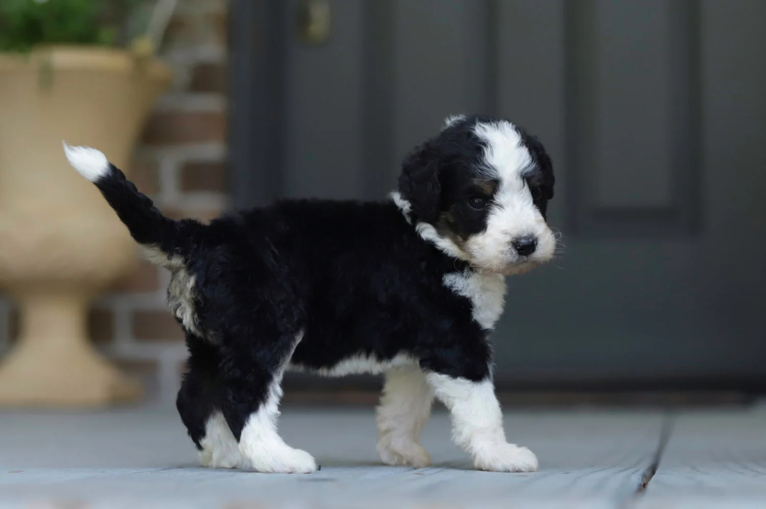 Cobblestone Flair  SOLD!  To Margaret in New Jersey!