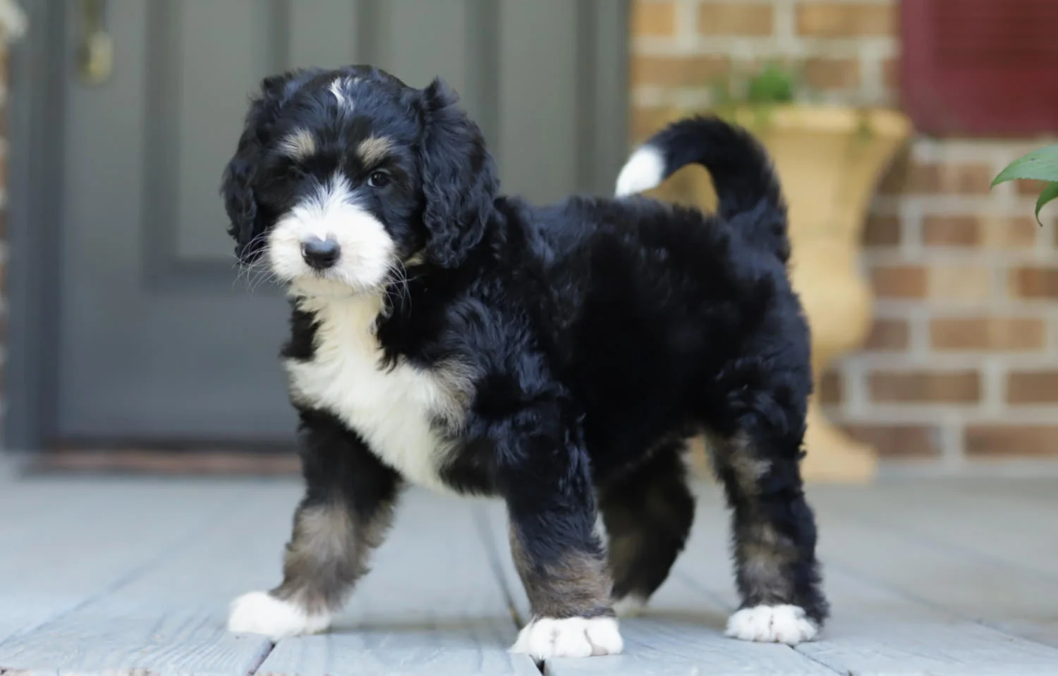 Cobblestone Waves SOLD! To Don & Penny in Myrtle Beach!