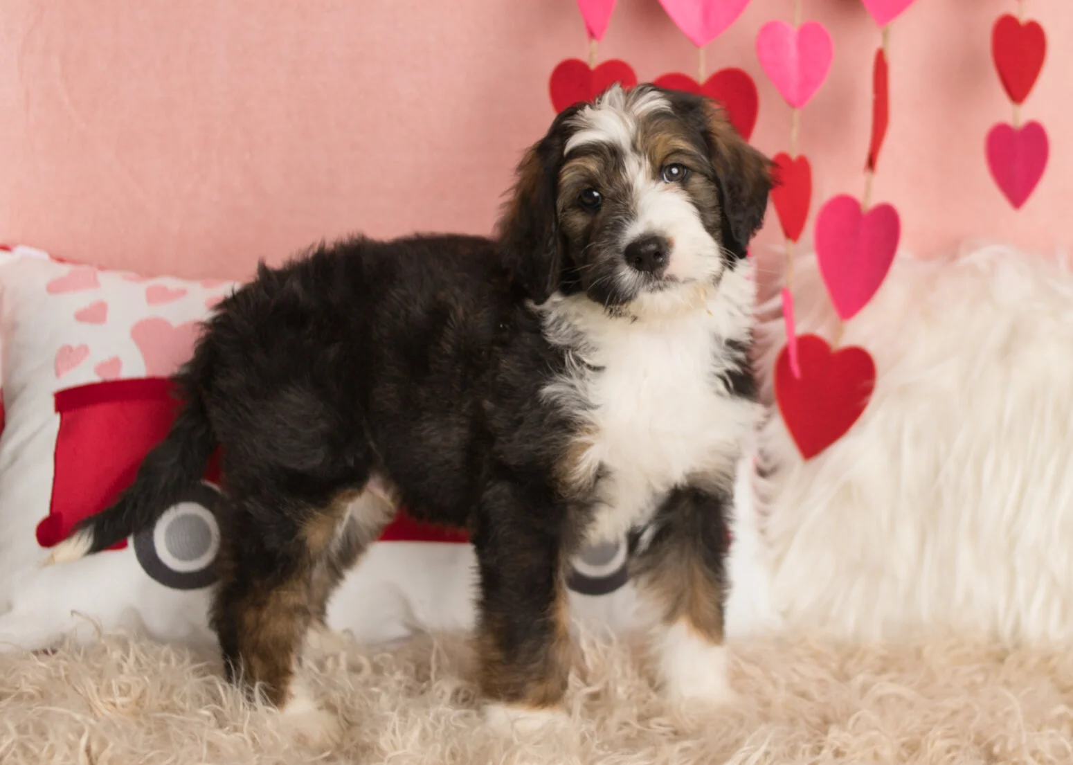 Cobblestone Callahan Sold to Ally in Georgia!