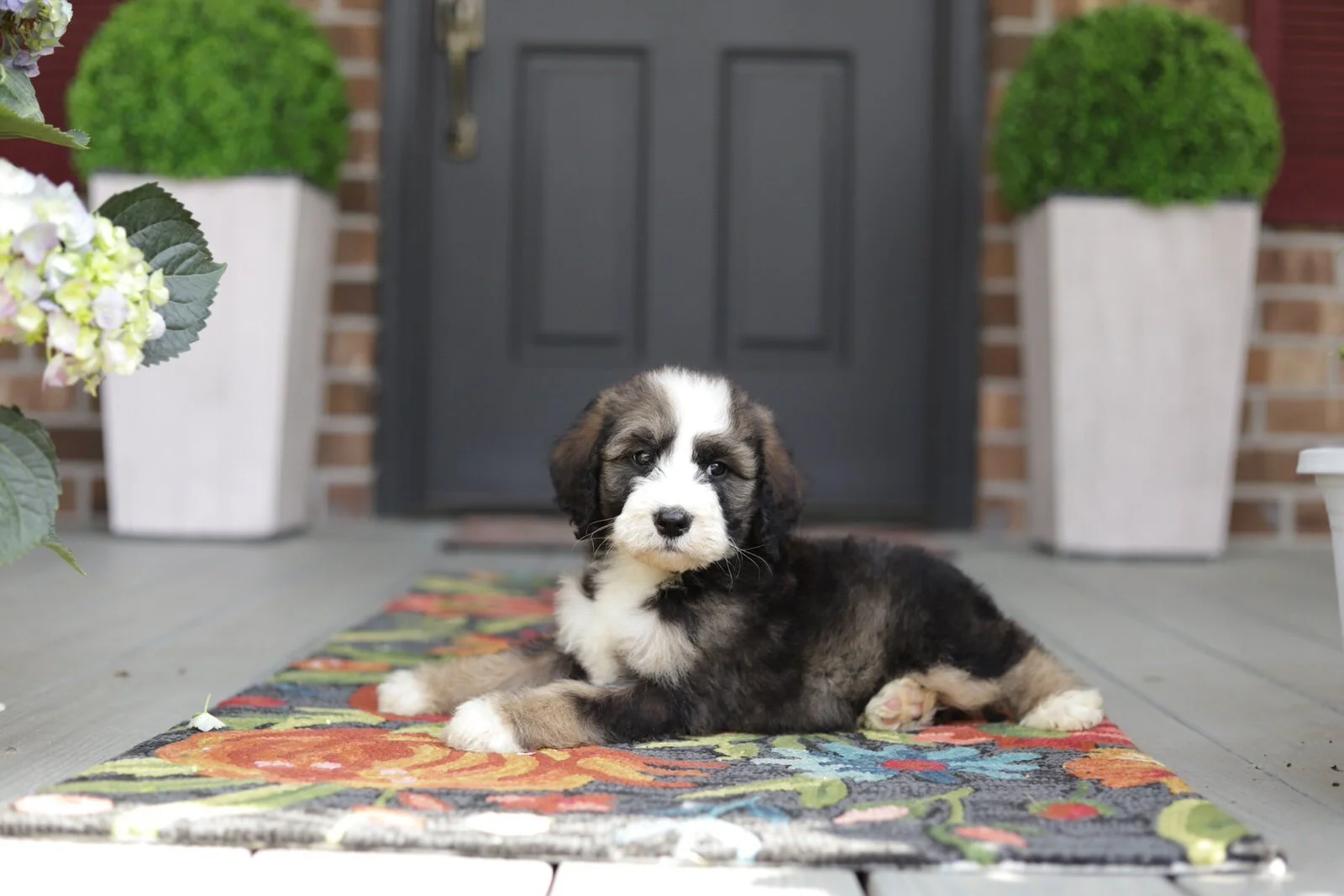 Cobblestone Drum  SOLD to Murphy in Clemson SC!