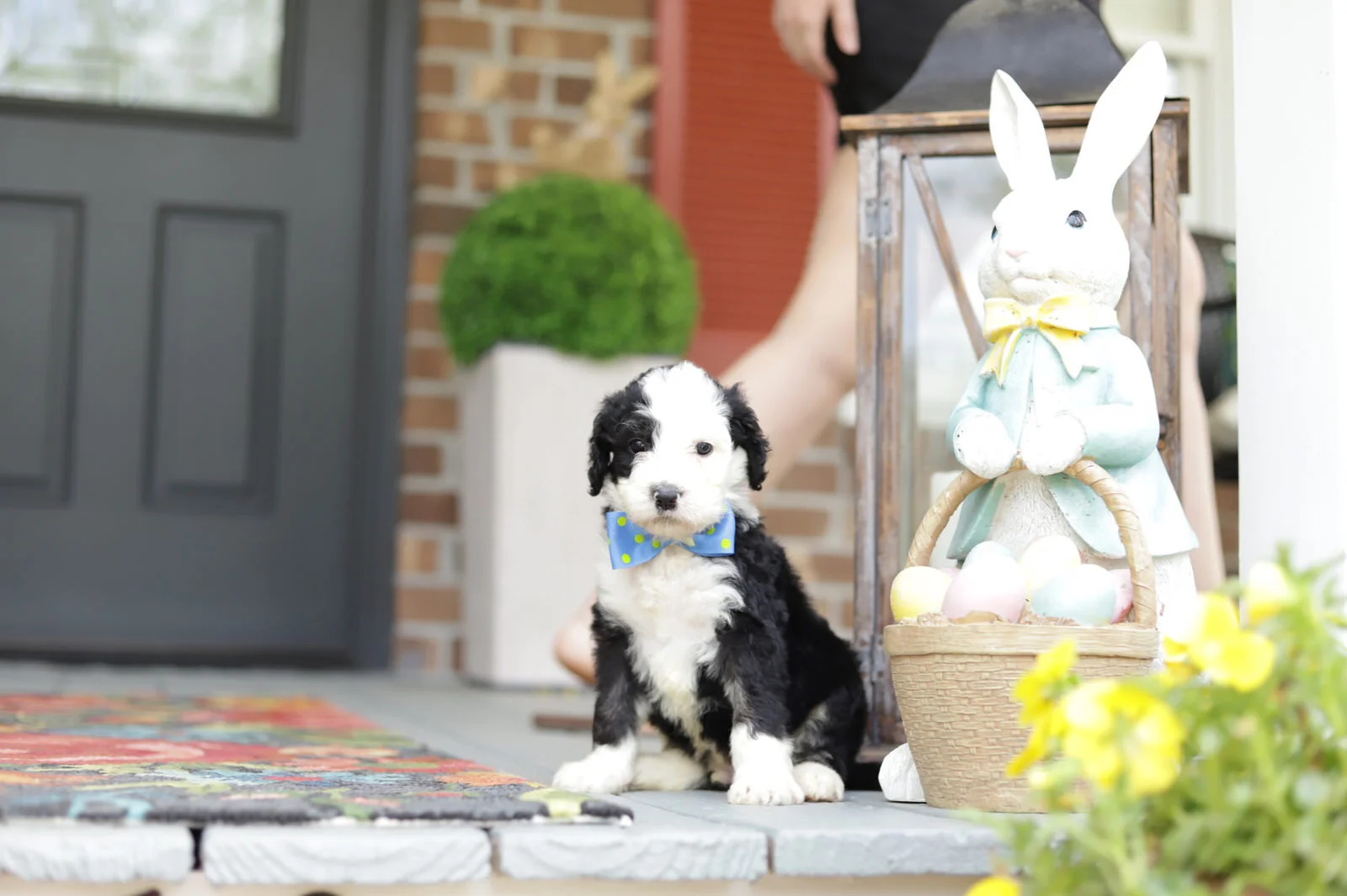 Cobblestone Hey Diddle Diddle - Sold