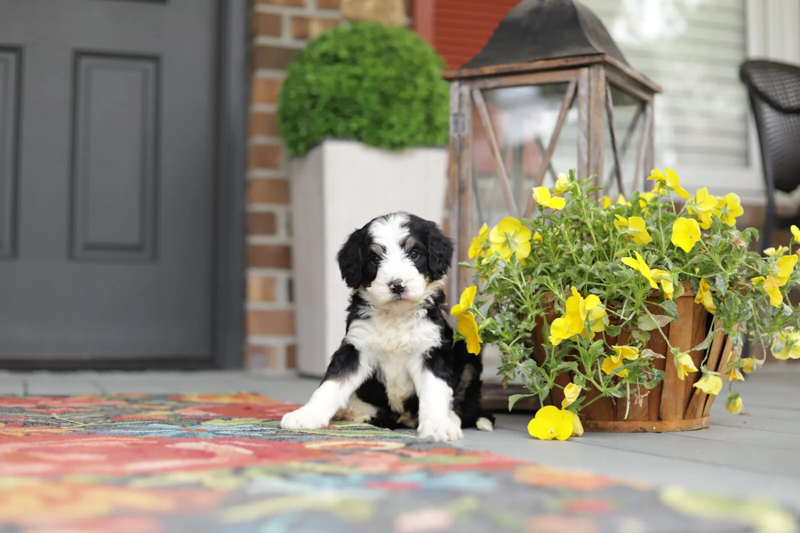 Cobblestone Humpty Dumpty - Sold