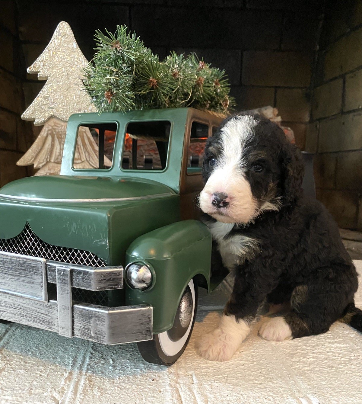 Cobblestone Blizzard βοΈ "I'm SOLD & going home to Fort Mills South Carolina!"