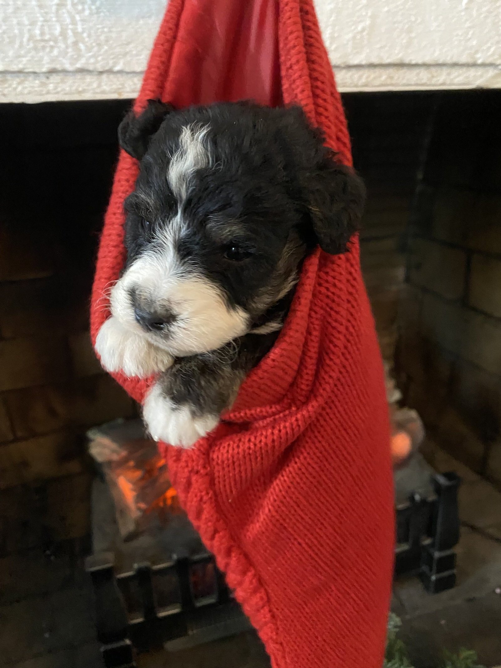 Cobblestone Stocking π§¦