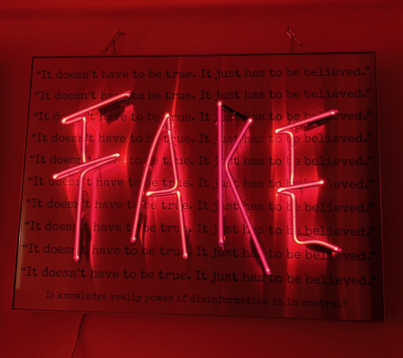 FAKE FOR NET.jpg