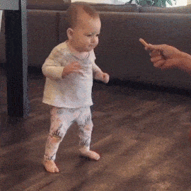 Meal_gif01.gif