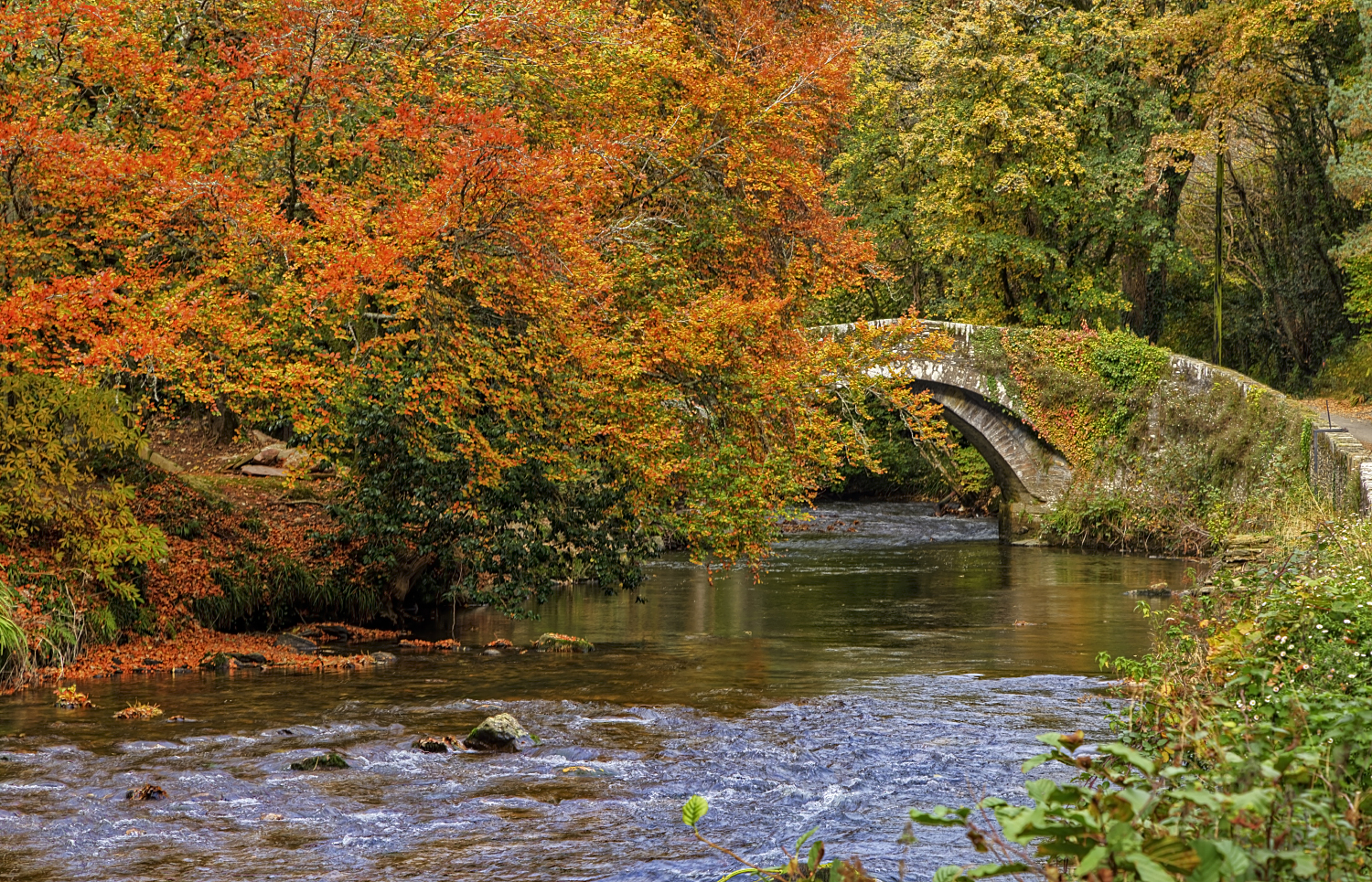 Autumnal Topsham bridge
