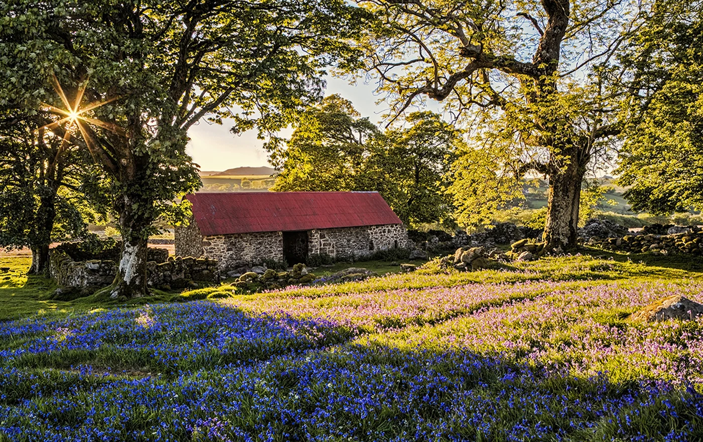 Emsworthy common on the Dartmoor national park
