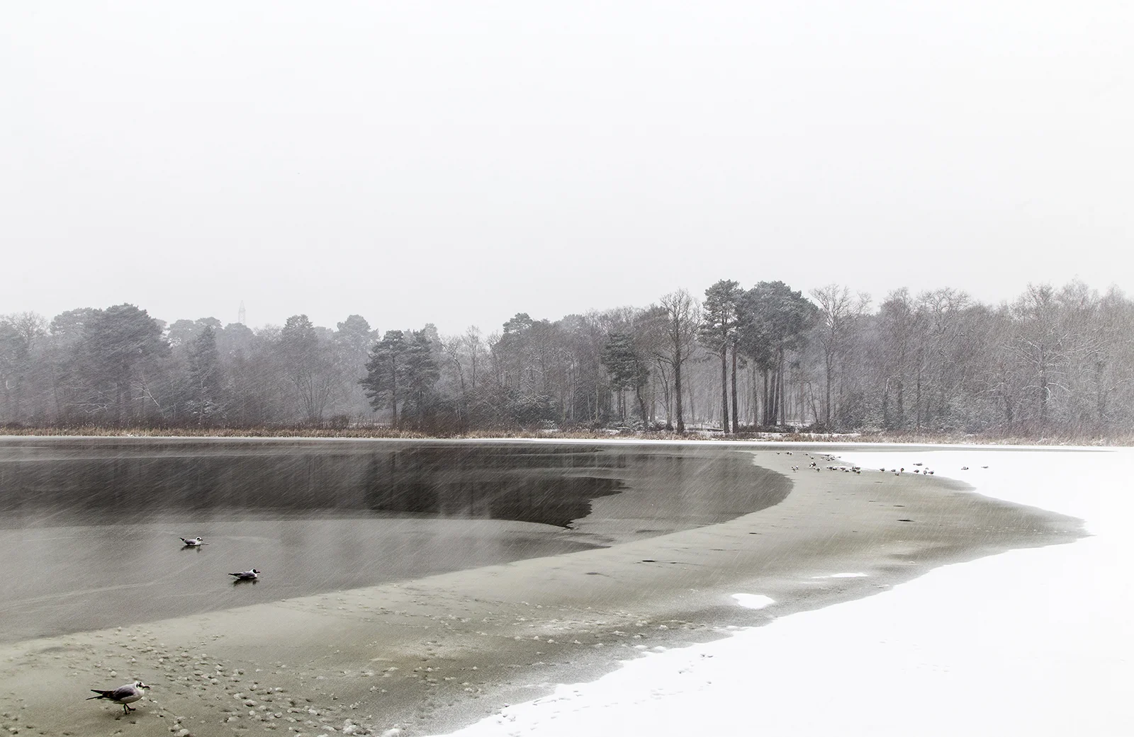 Frozen lake at Stover county park