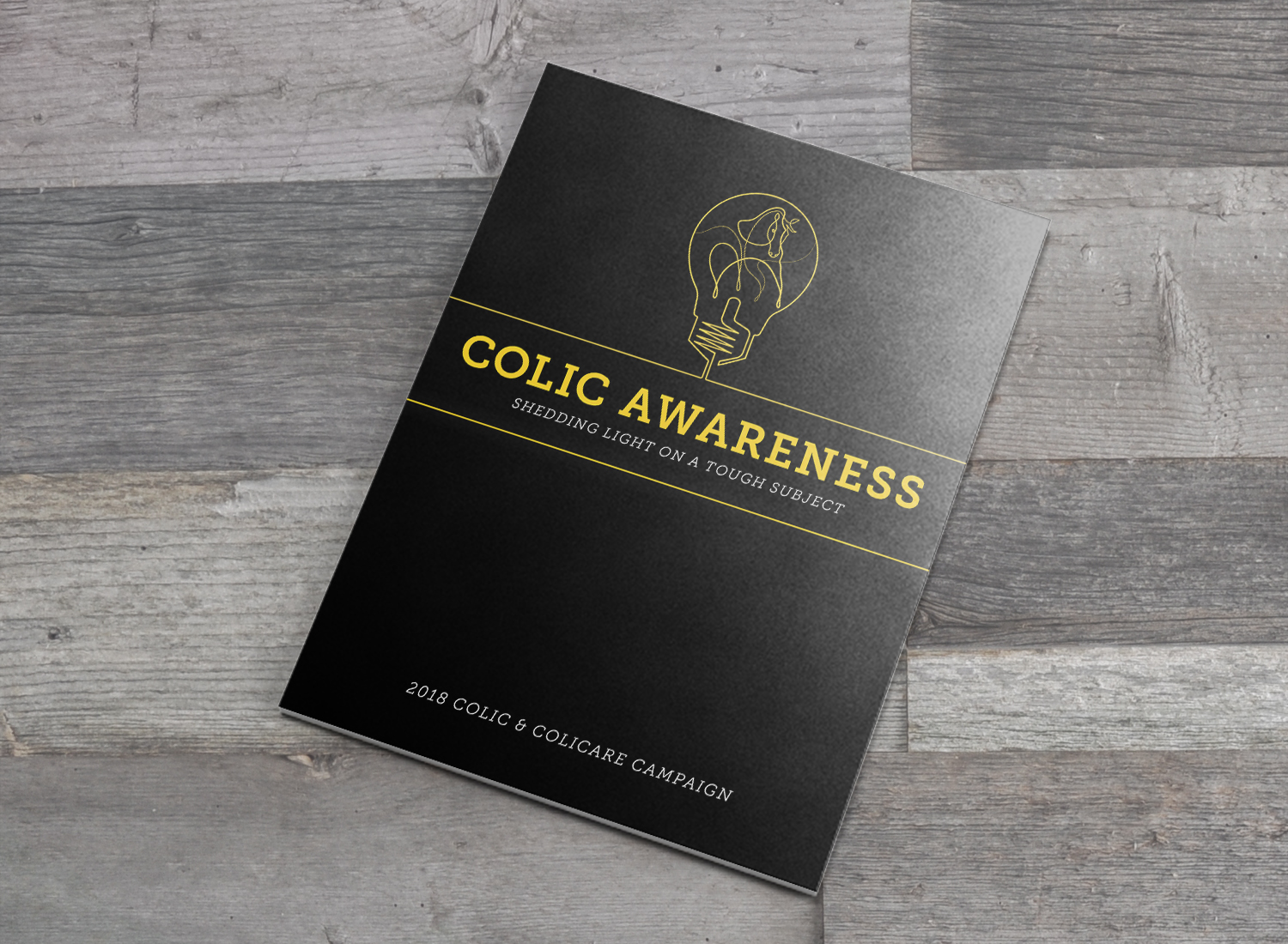 ColiCare Style Guide Mock_Cover.jpg