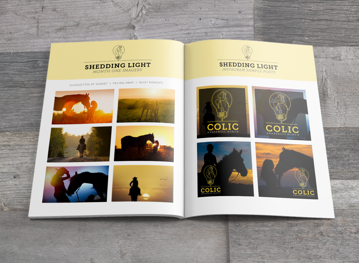 ColiCare Style Guide Mock_spread2.jpg