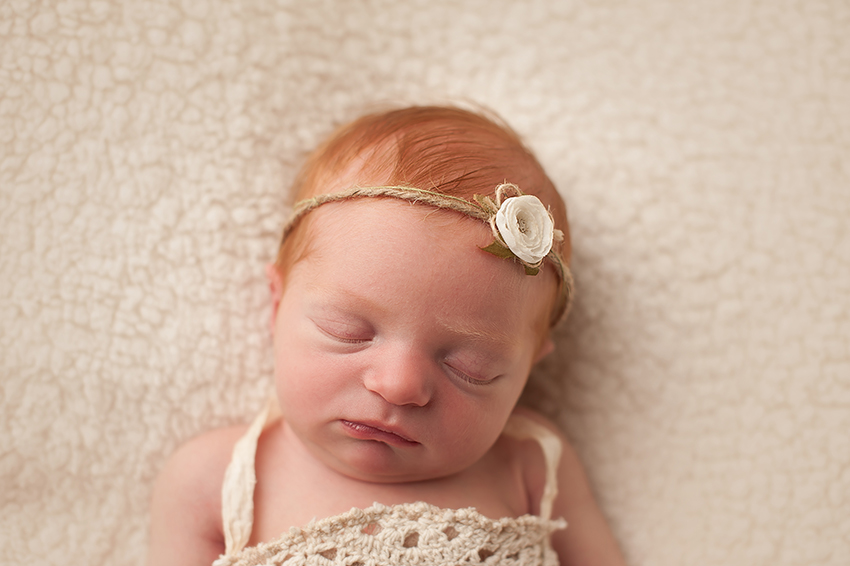 columbus-ohio-newborn-photographer.jpg