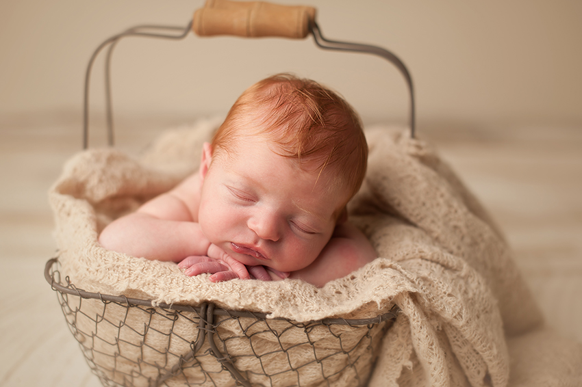 columbus-newborn-photographer.jpg