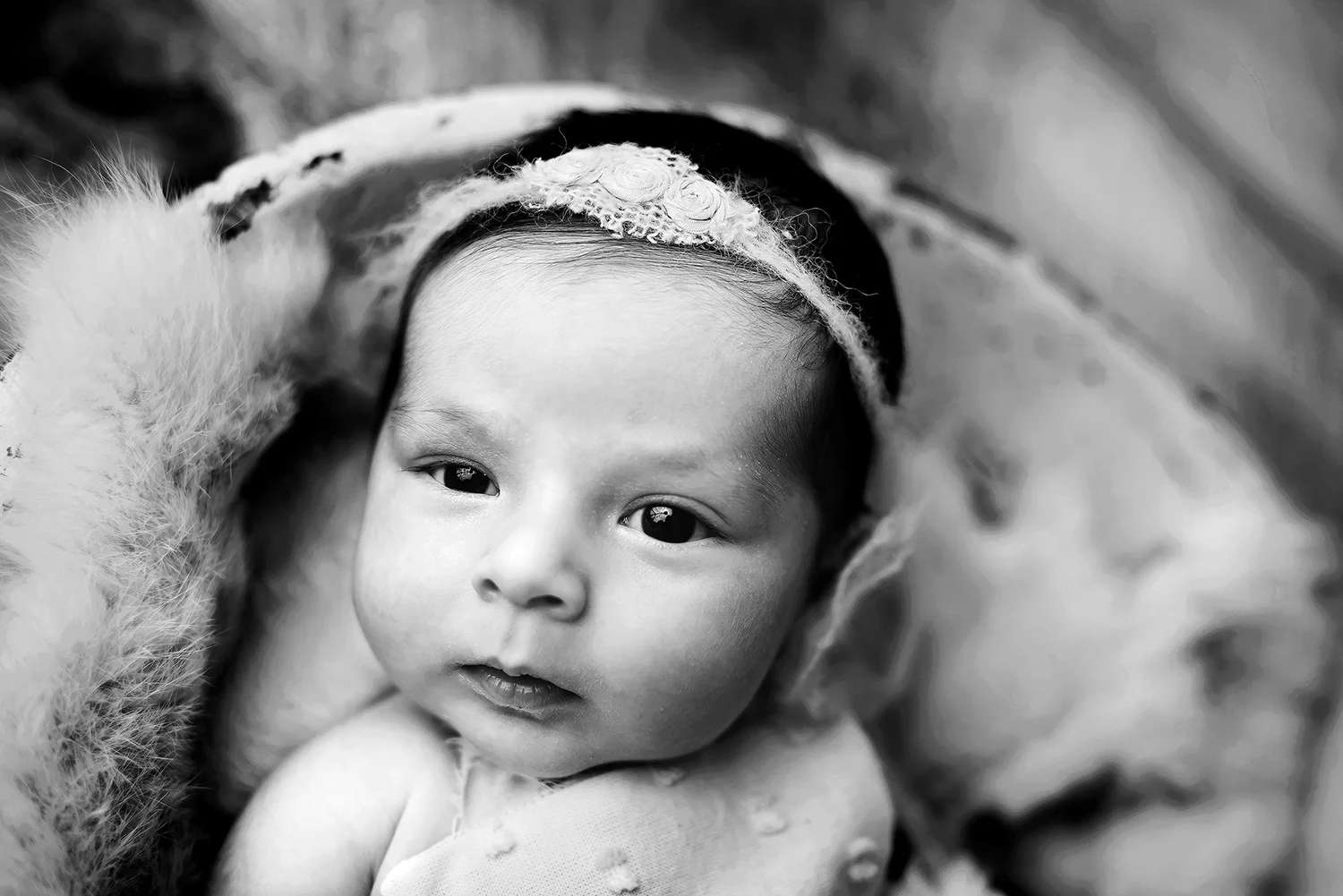 DSC_0220bw2.jpg