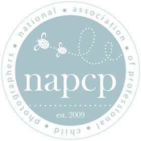 NAPCPLogoHomepage2.jpg