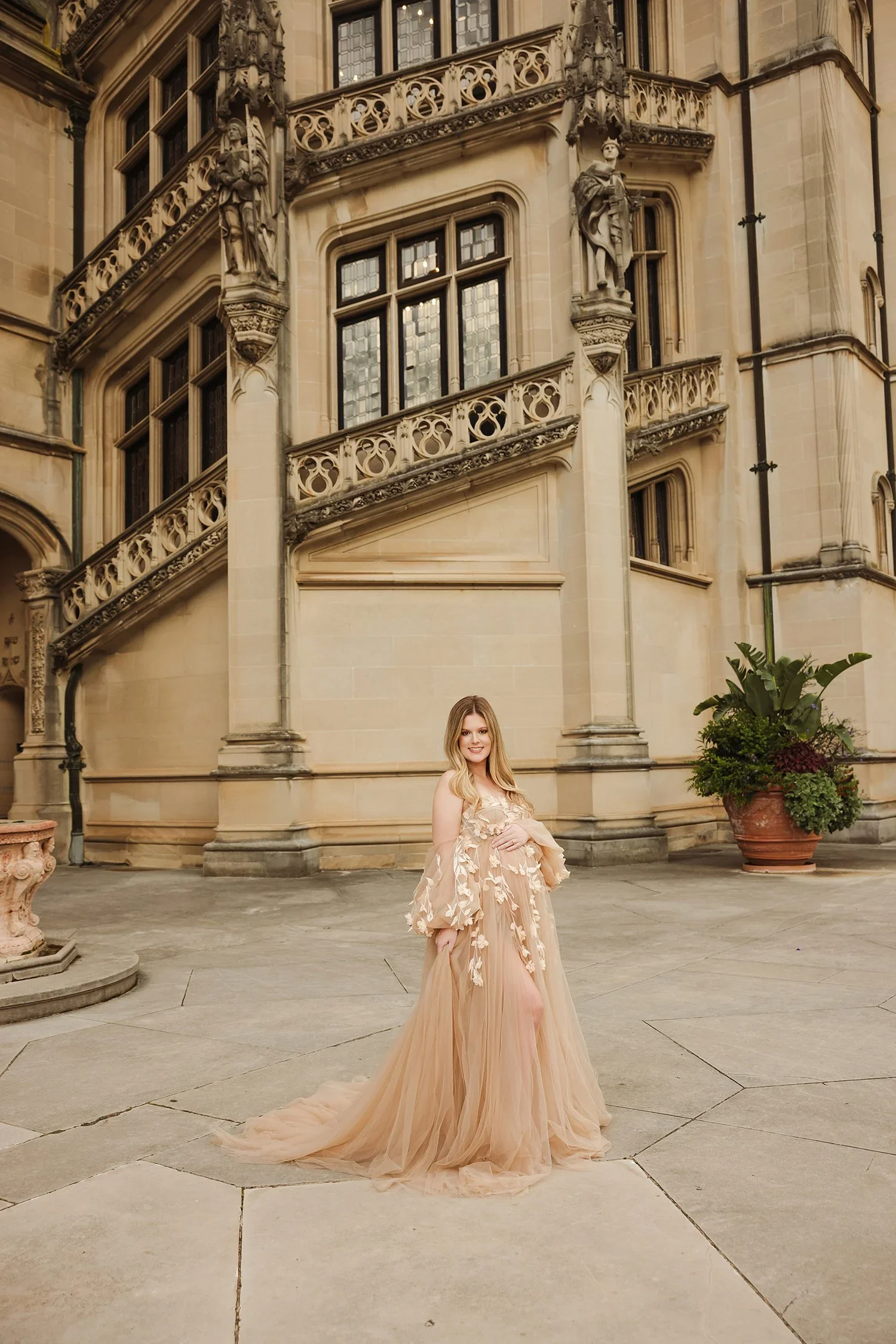 Tan Tulle Gown