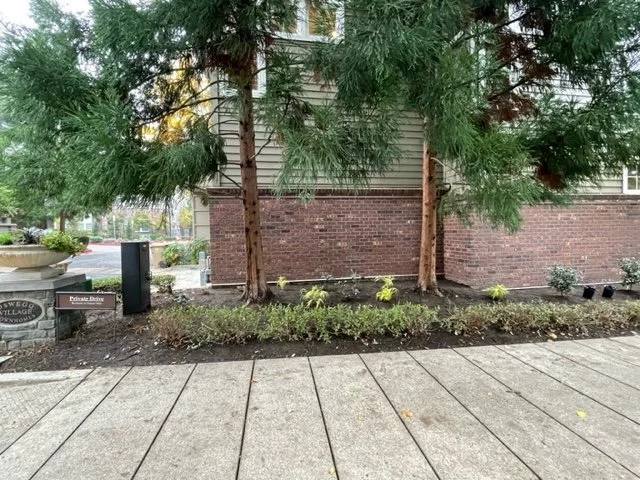 image9.jpeg