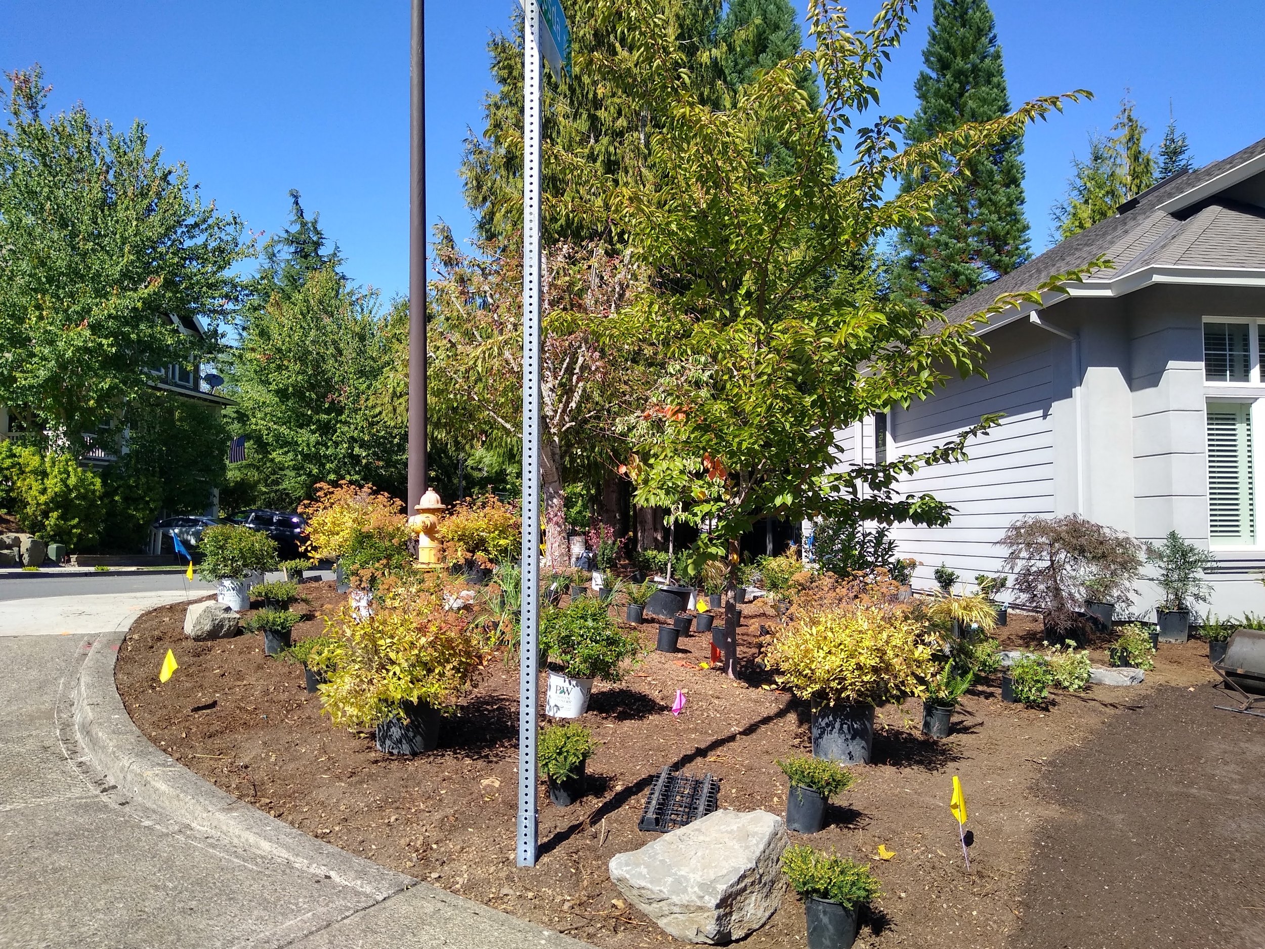 IMG_20230914_140051509_HDR.jpg