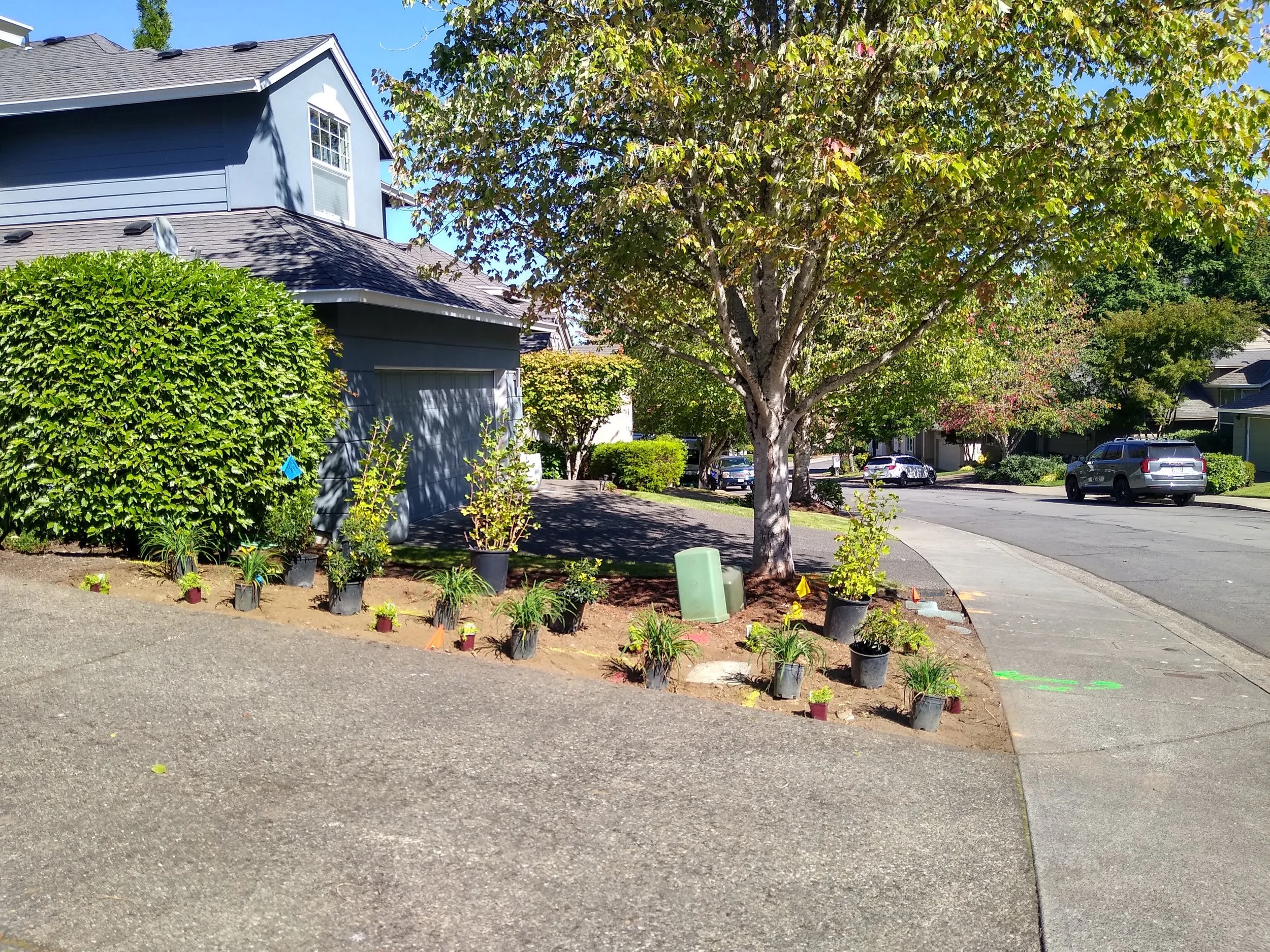 IMG_20230914_140138092_HDR.jpg
