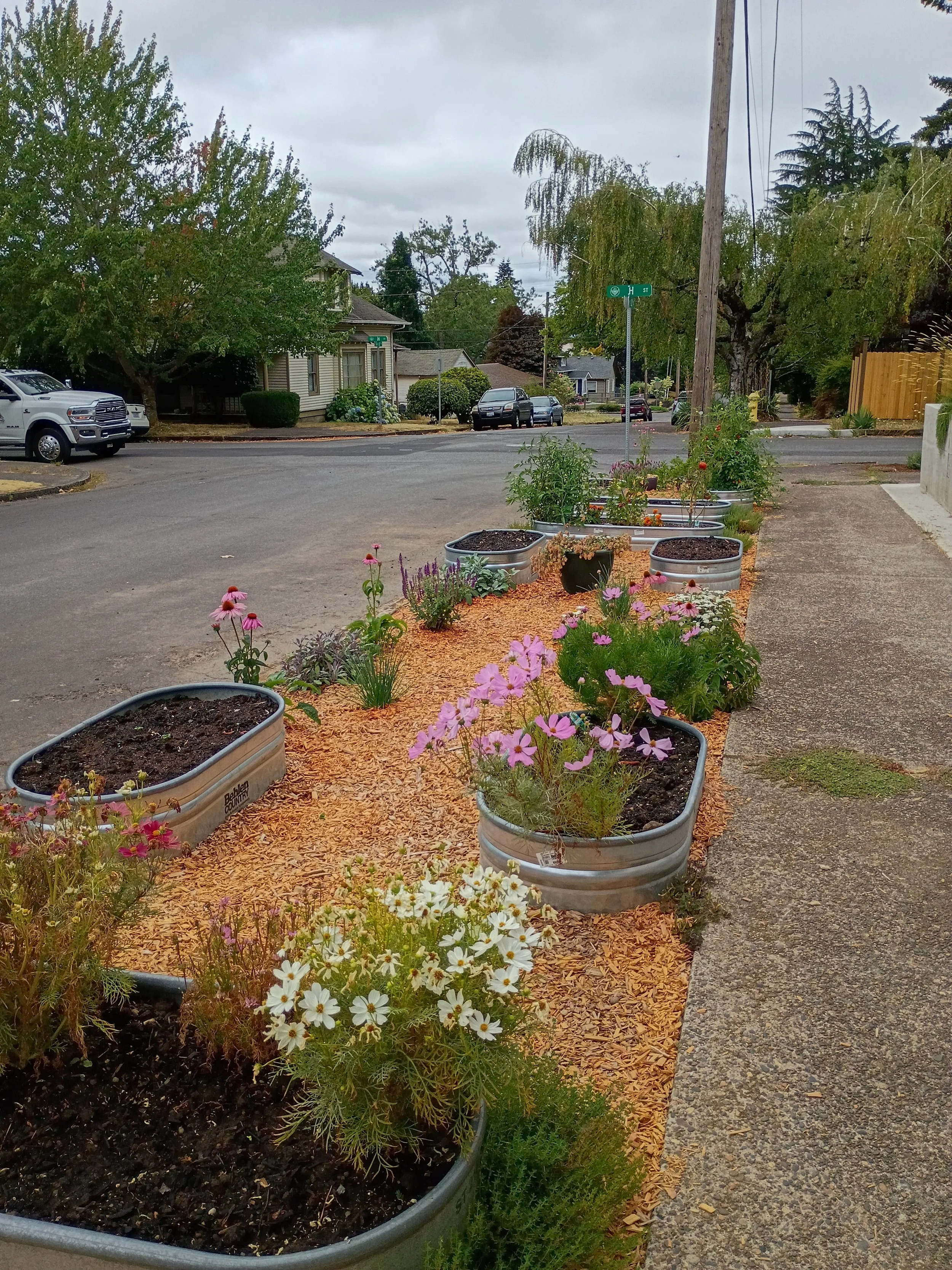 IMG_20260812_105755533_HDR.jpg