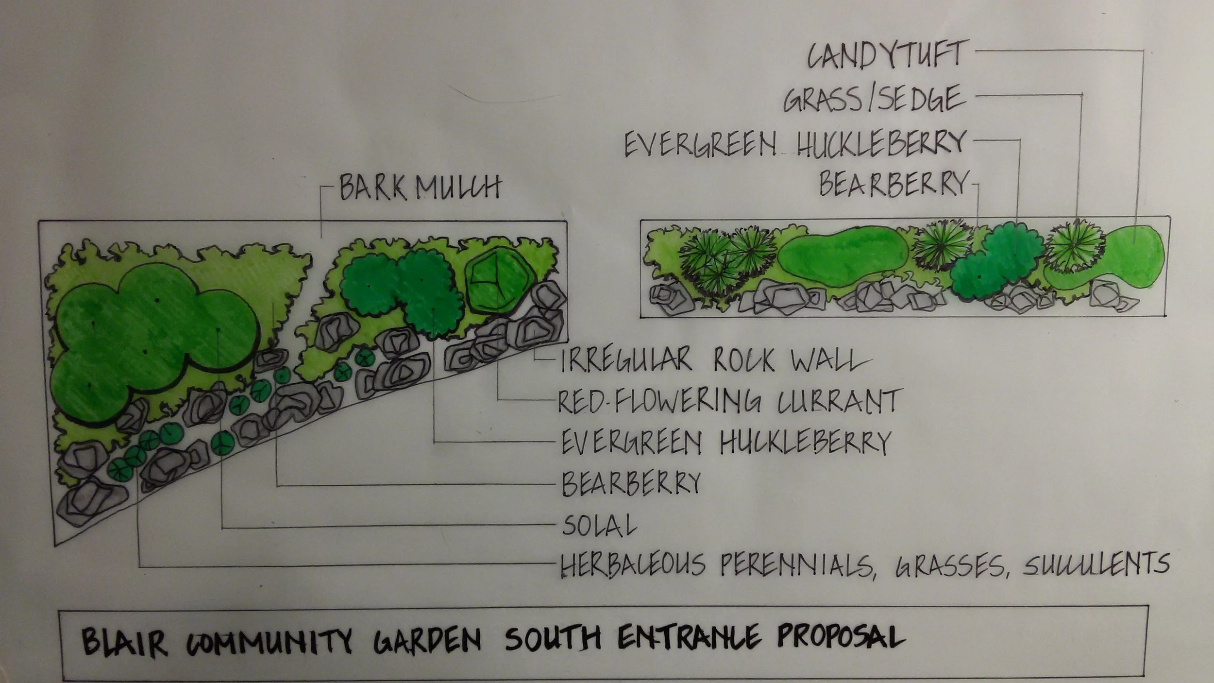 Blair Enrance Proposal.jpg