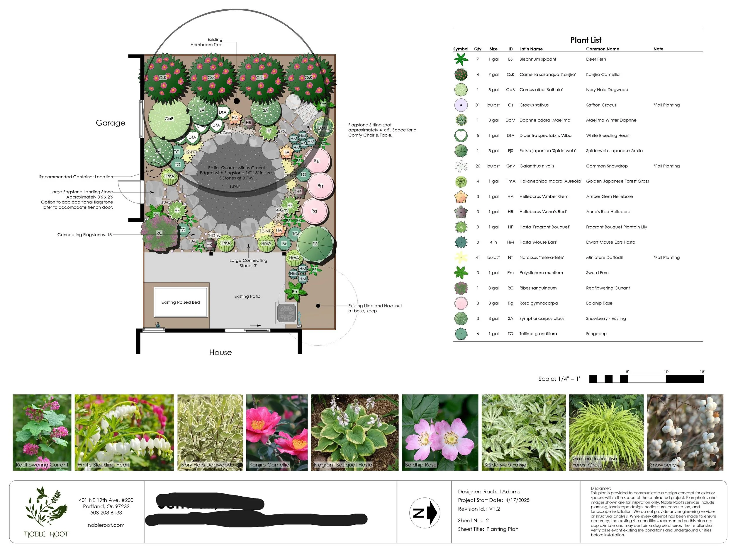 V1.2 Schwall Planting Plan_5.21.25.jpg
