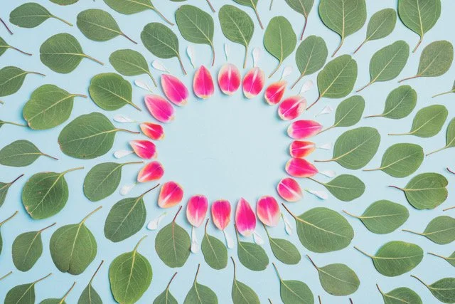 How Life Shift Coaching Can Transform Your Mindset for Success