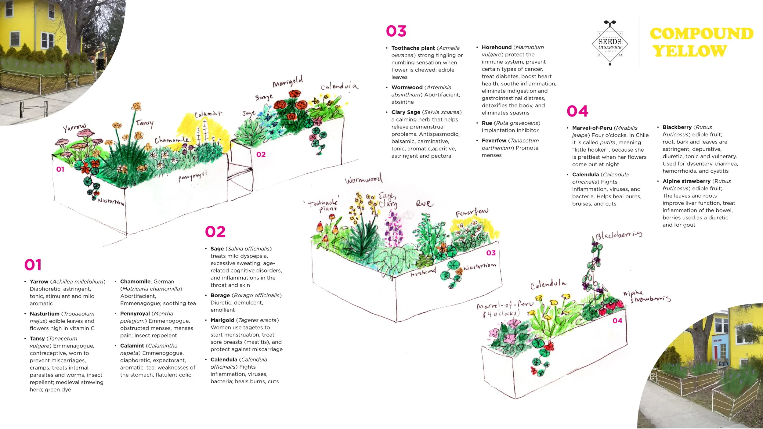 Drawing & design by Maggie Puckett & Jeff Levrant