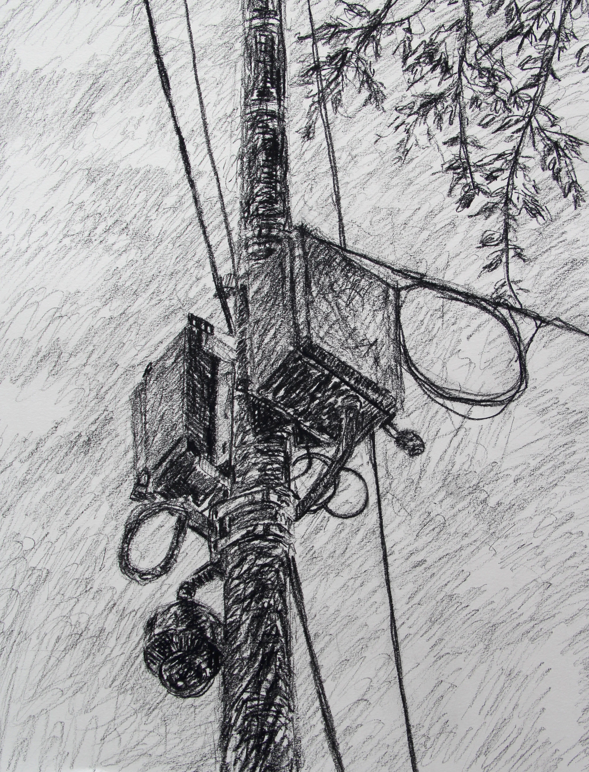 observation device.jpg