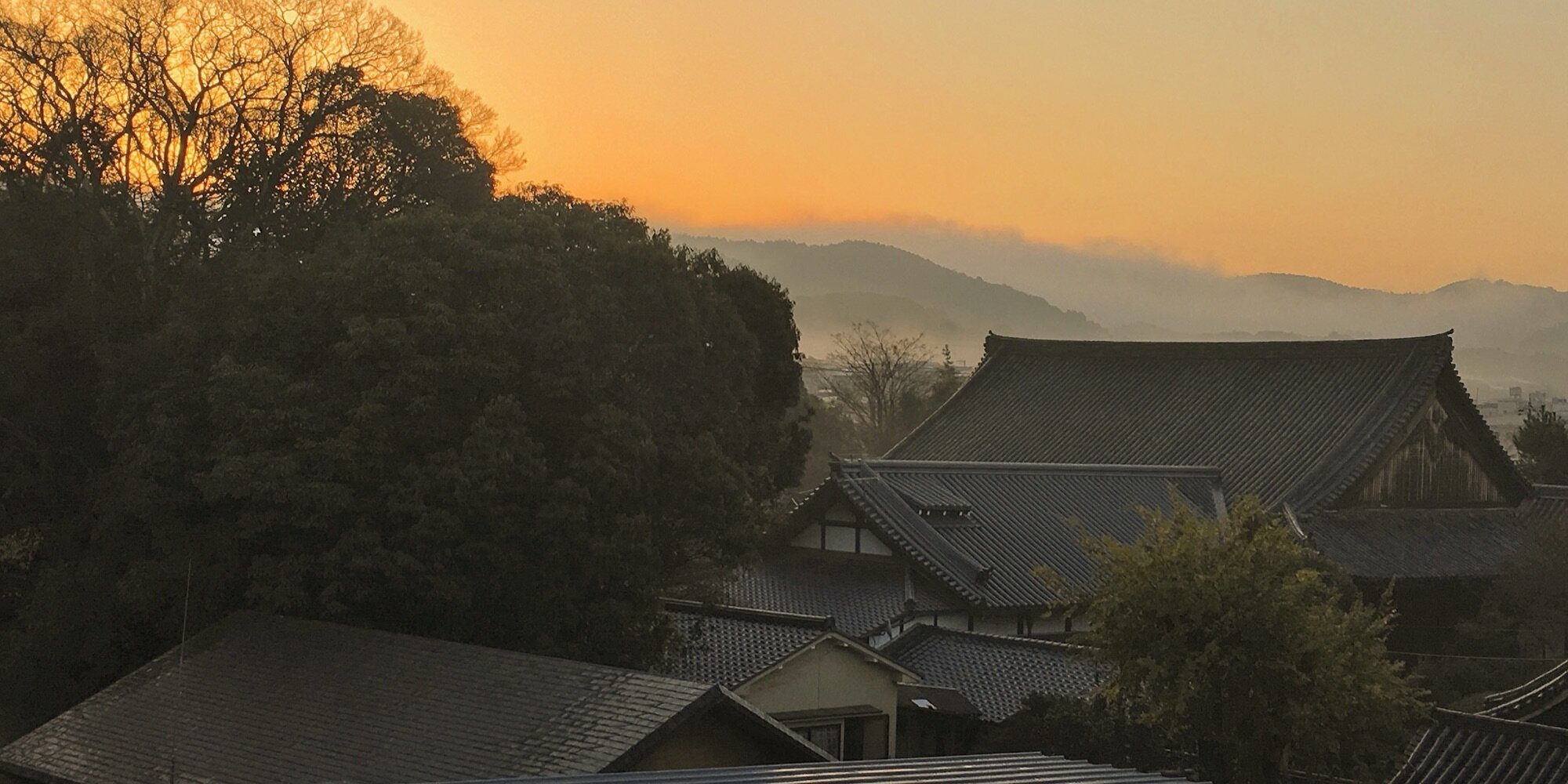 Why-Japan-8.jpg