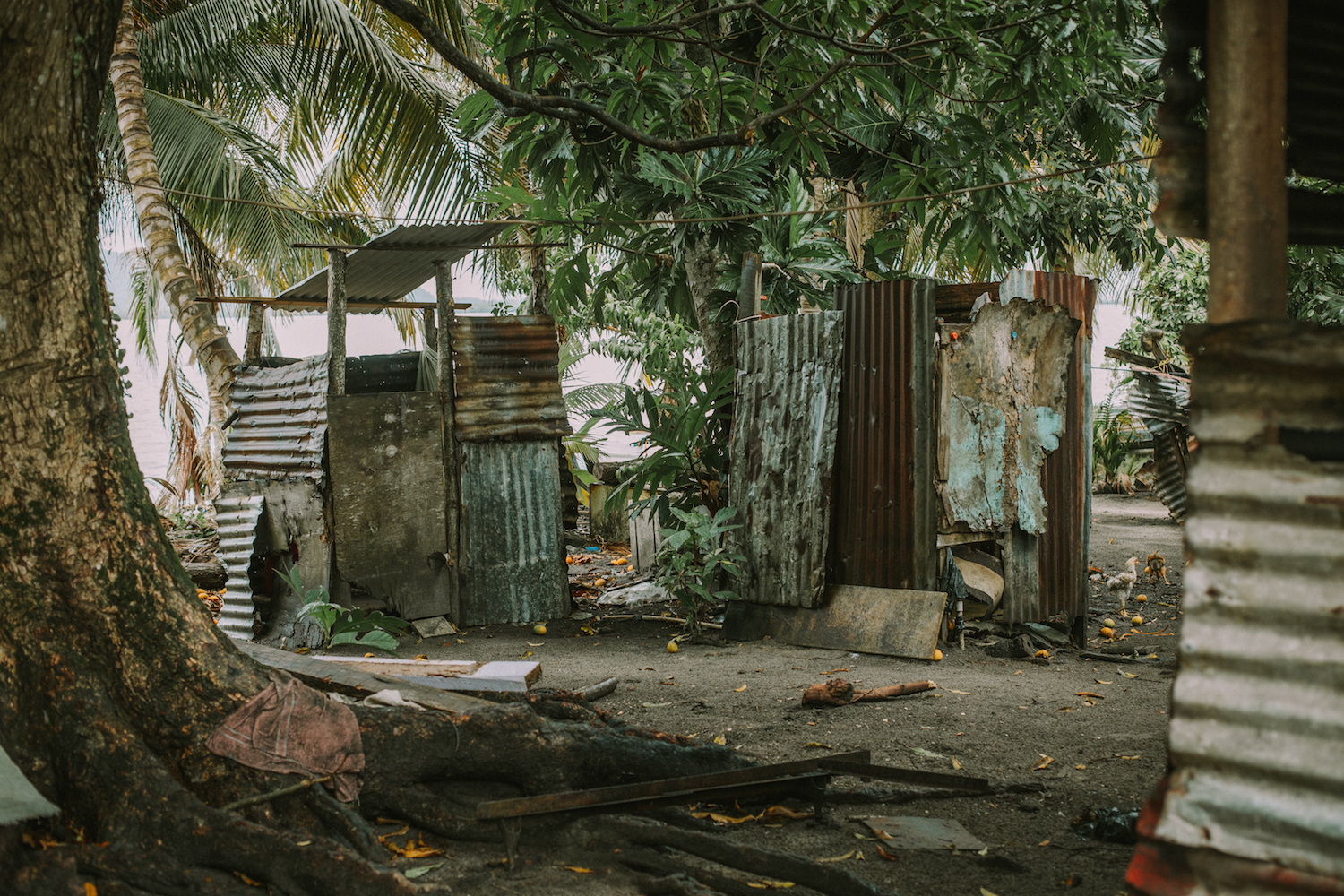  This photo shows the backyard of a local household in Gales Point, Belize. The structures pictured are an outhouse, shower, and a sliver of the shed that's used as a kitchen where the family cooks over an open fire. 