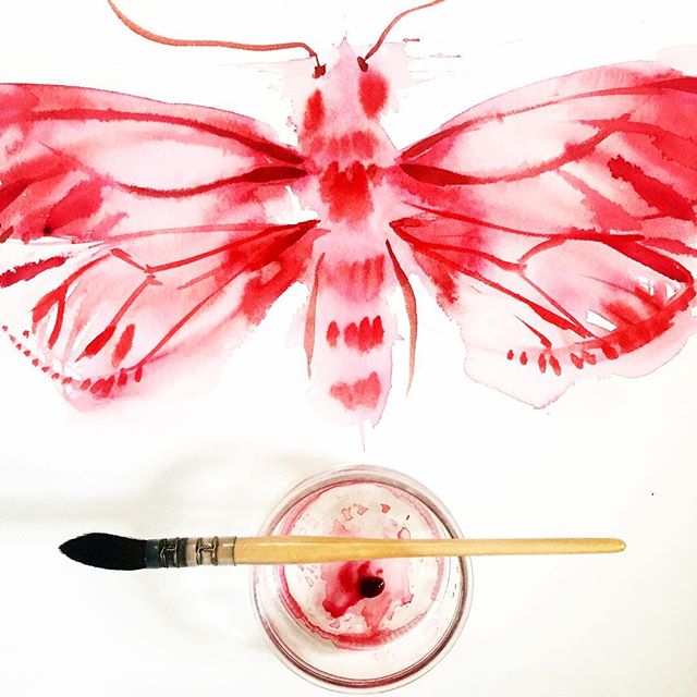 May your day unfold
into joy and light ~
Happy  #pollinatormonday everyone!
#doitfortheprocess 
#metamorphosis