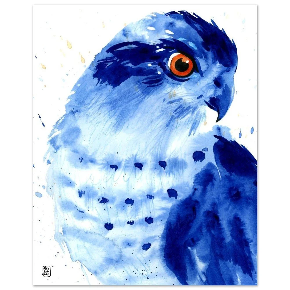 tmp-1610-kPP4NZw3gh5Q