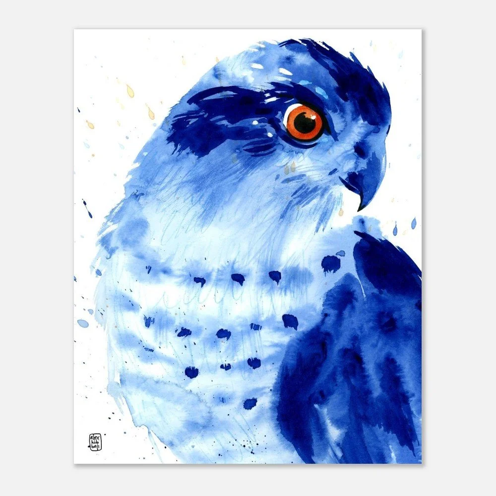 tmp-1610-FtG5a338LarZ