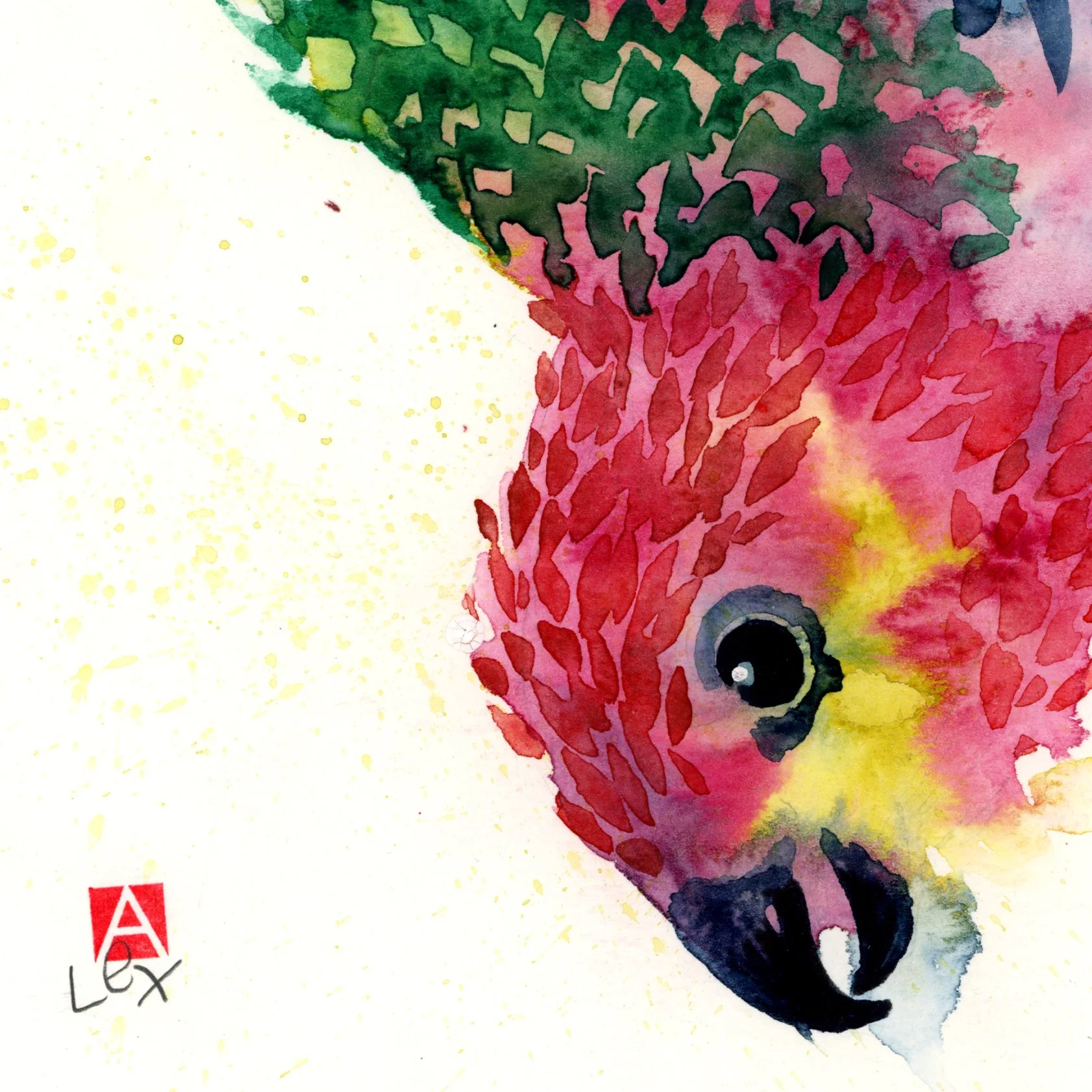 orignal 4_cropped.jpg