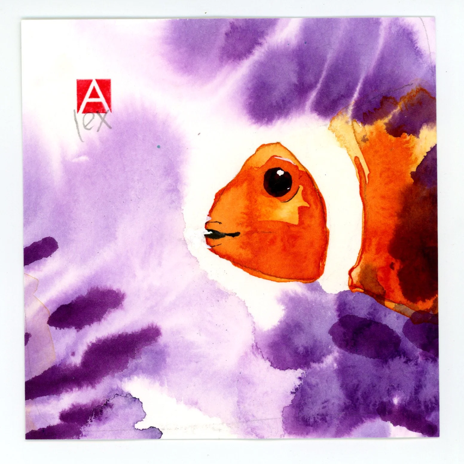 orignal 1_clownfish.jpg