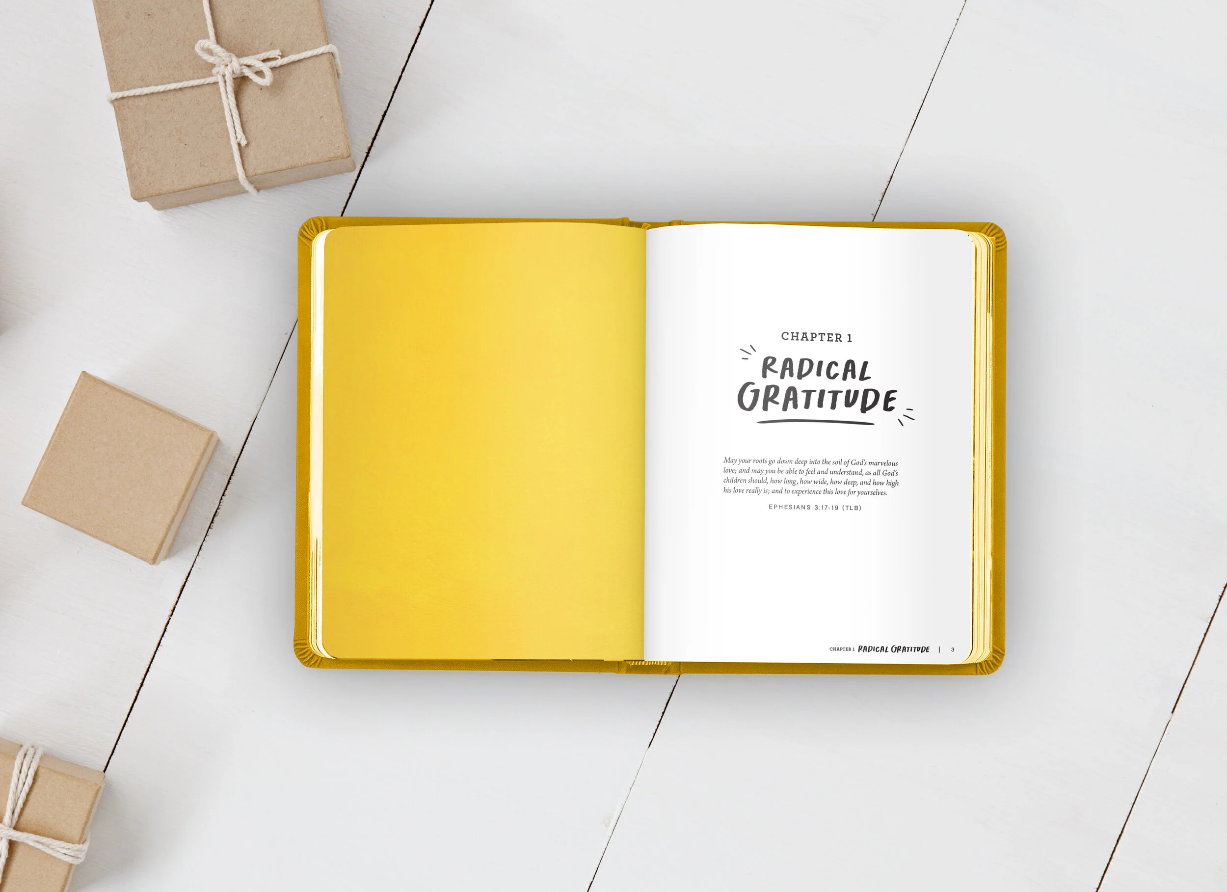 ThePowerofGratitude-SpreadMockup-01.jpg