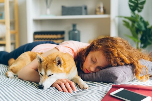 https://www.pexels.com/photo/redhead-woman-sleeping-with-dog-20897047/