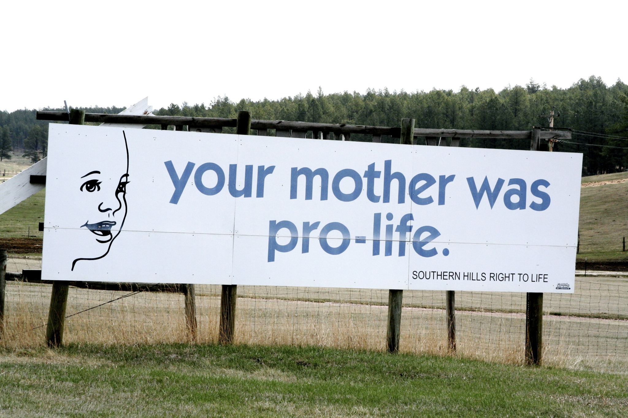 Um, yeah. That kid's face gets me every time. Doesn't his large, shapeless forehead remind you a bit too much of the profile of a pregnant woman's stomach? Look at the face that way, and it begins to protrude like Quato from Total Recall .