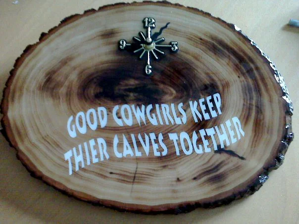 My prize souvenir from getting snowed in near Wheatland, WY for a night. Gotta love misspelled witticisms.