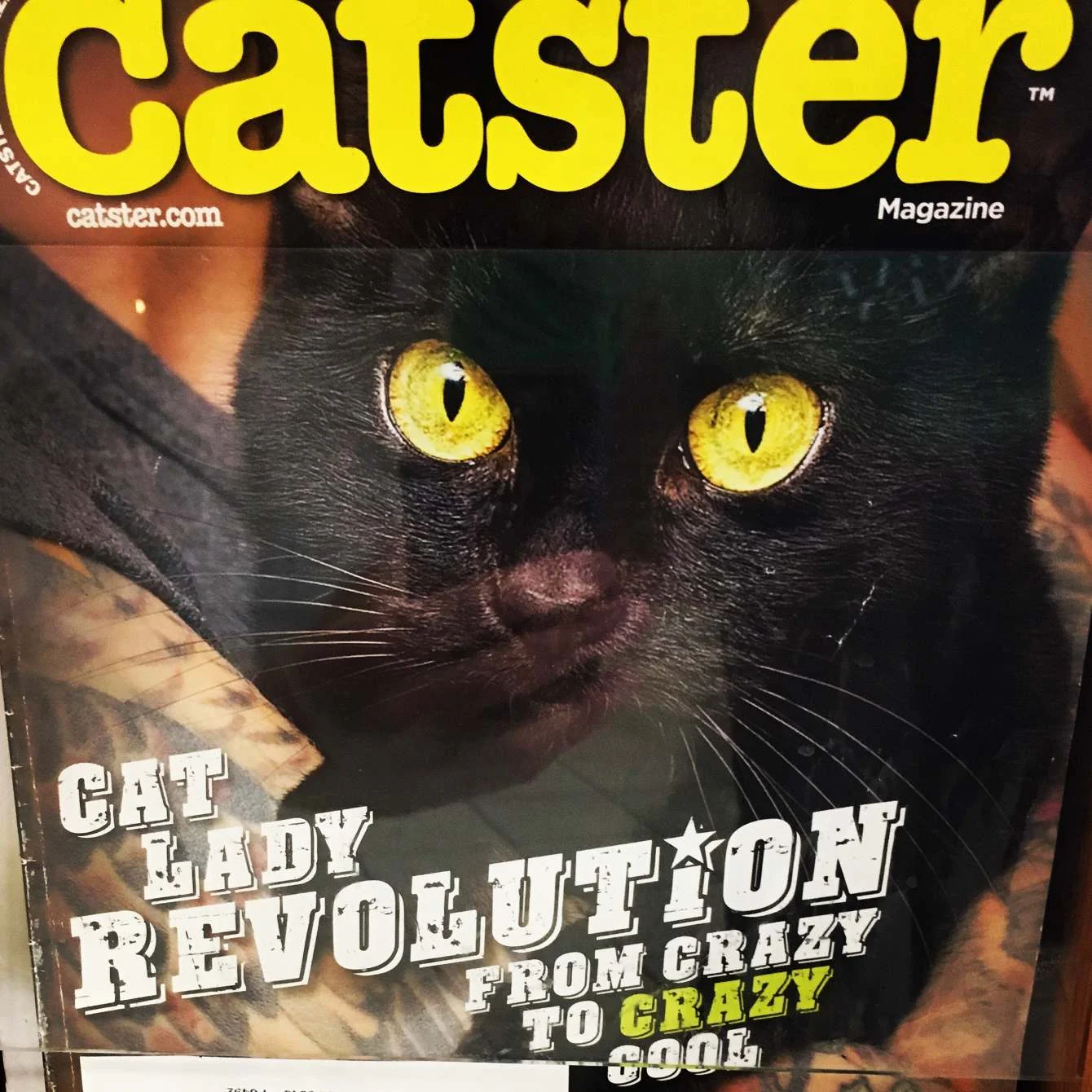  Yet another revolution that won't be televised. Dubious, says I. 