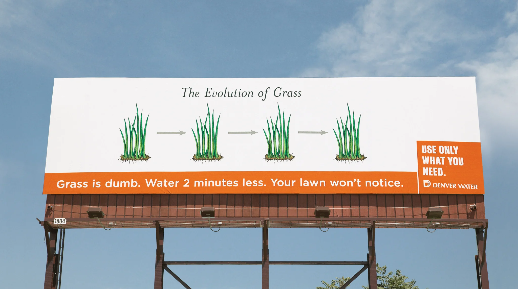 DW2_EvolutionGrass_ooh.jpg
