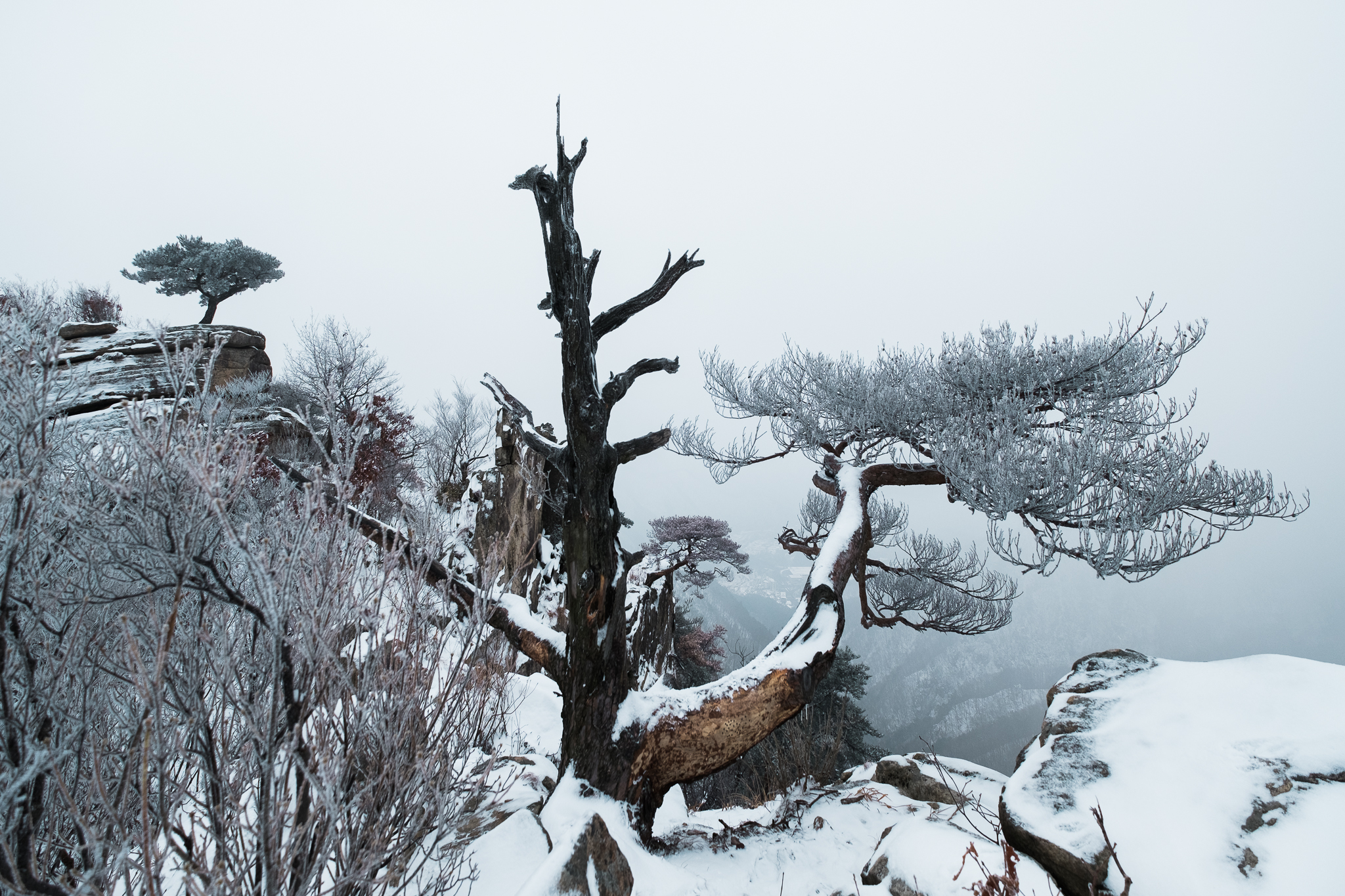 Daedunsan-South-Korea-011.jpg