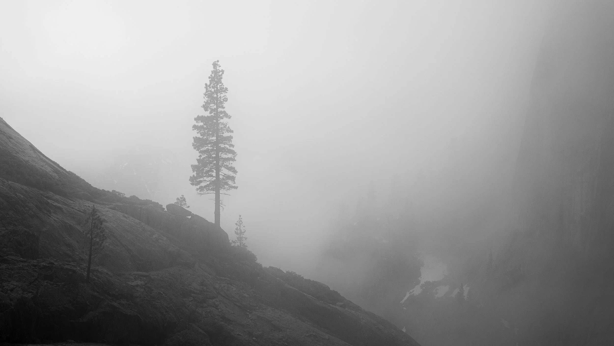On the Edge of the Cliff