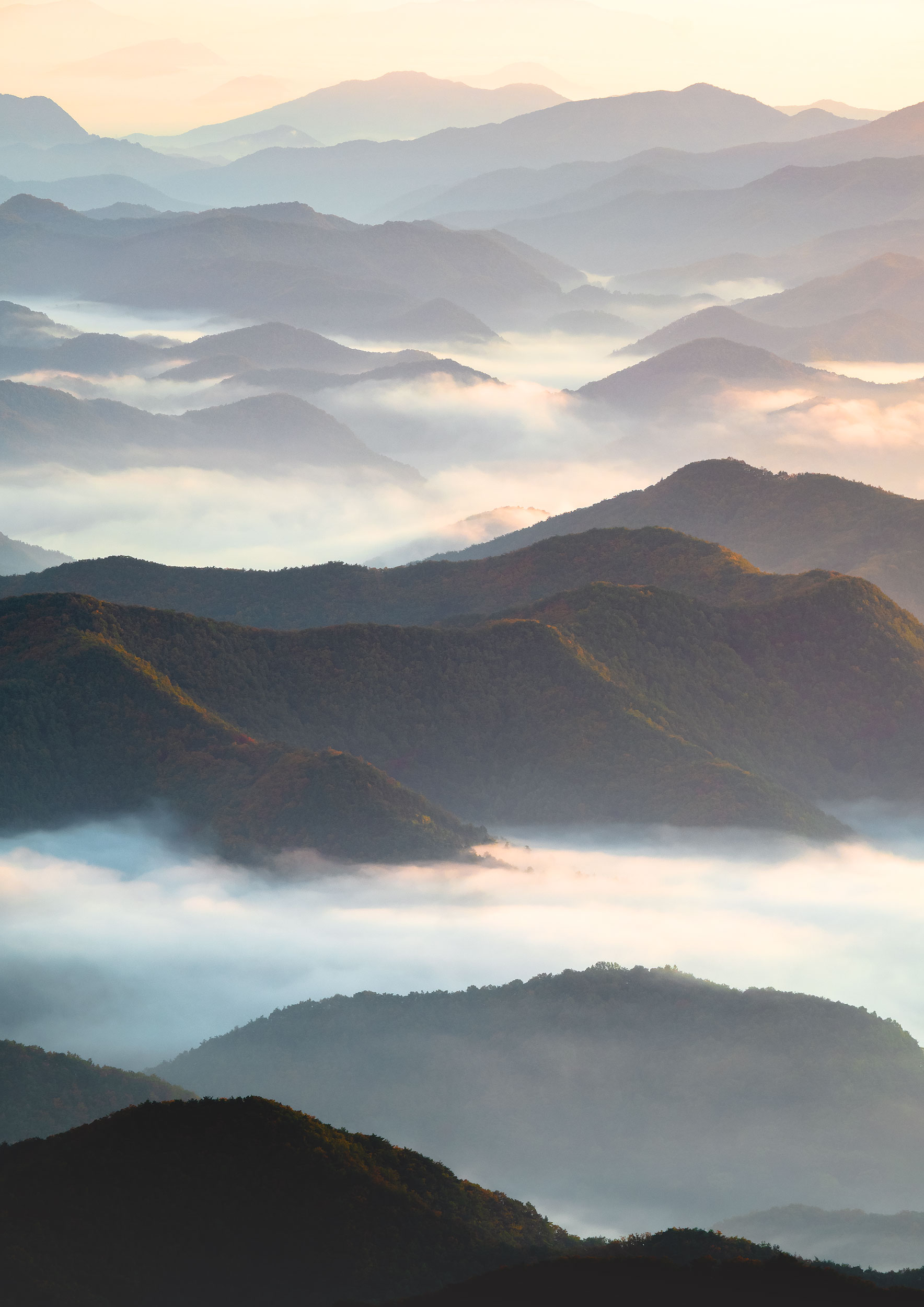 Shades of Dawn