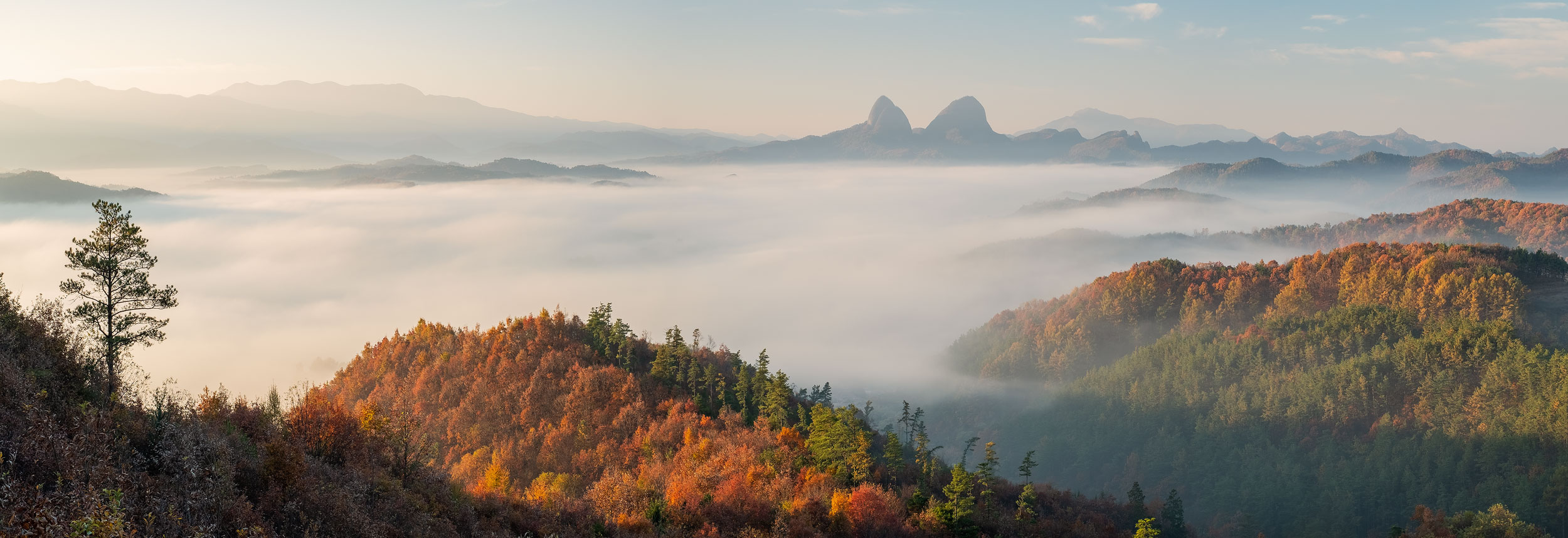 The Valley of the Shadow of Fog